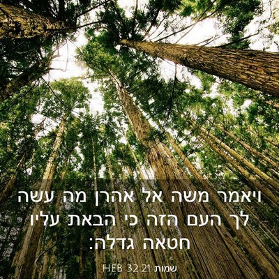 Picture 03 - שמות 32:21 HEB - ויאמר משה אל אהרן מה עשה לך - Bible Verse Picture