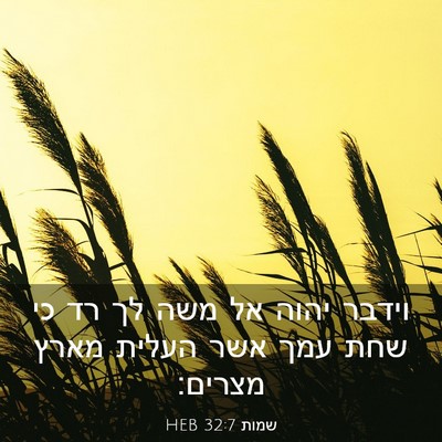 Picture 03 - שמות 32:7 HEB - וידבר יהוה אל משה לך רד כי - Bible Verse Picture