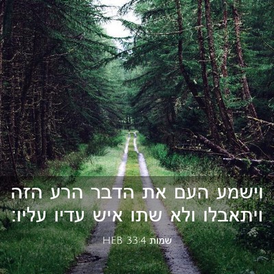 Picture 03 - שמות 33:4 HEB - וישמע העם את הדבר הרע הזה - Bible Verse Picture