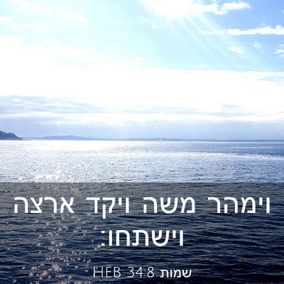 Picture 03 - שמות 34:8 HEB - וימהר משה ויקד ארצה - Bible Verse Picture
