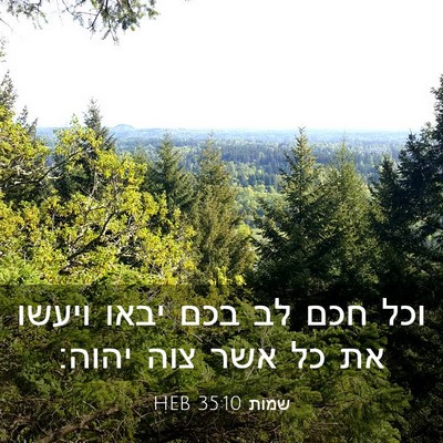 Picture 03 - שמות 35:10 HEB - וכל חכם לב בכם יבאו ויעשו - Bible Verse Picture