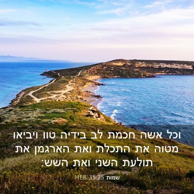 Picture 03 - שמות 35:25 HEB - וכל אשה חכמת לב בידיה טוו - Bible Verse Picture