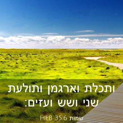 Picture 03 - שמות 35:6 HEB - ותכלת וארגמן ותולעת שני - Bible Verse Picture