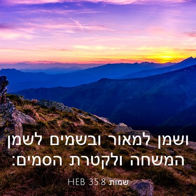 Picture 03 - שמות 35:8 HEB - ושמן למאור ובשמים לשמן - Bible Verse Picture