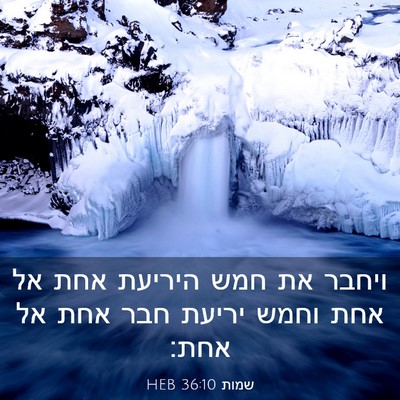Picture 03 - שמות 36:10 HEB - ויחבר את חמש היריעת אחת אל - Bible Verse Picture