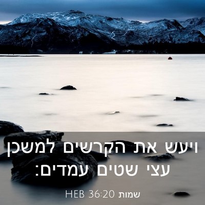 Picture 03 - שמות 36:20 HEB - ויעש את הקרשים למשכן עצי - Bible Verse Picture