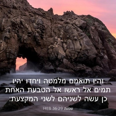 Picture 03 - שמות 36:29 HEB - והיו תואמם מלמטה ויחדו - Bible Verse Picture