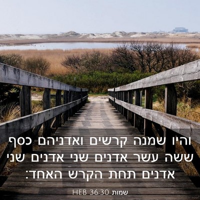 Picture 03 - שמות 36:30 HEB - והיו שמנה קרשים ואדניהם - Bible Verse Picture