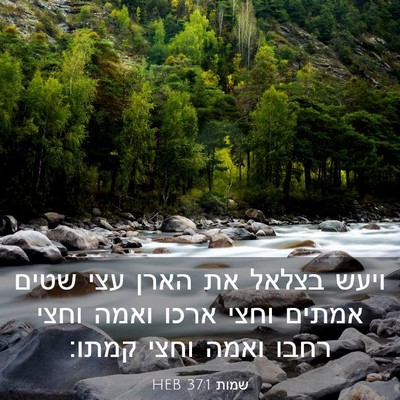 Picture 03 - שמות 37:1 HEB - ויעש בצלאל את הארן עצי שטים - Bible Verse Picture