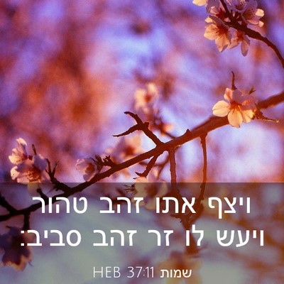 Picture 03 - שמות 37:11 HEB - ויצף אתו זהב טהור ויעש לו - Bible Verse Picture