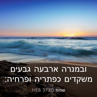 Picture 03 - שמות 37:20 HEB - ובמנרה ארבעה גבעים משקדים - Bible Verse Picture