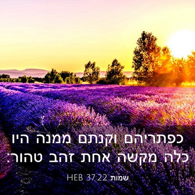 Picture 03 - שמות 37:22 HEB - כפתריהם וקנתם ממנה היו כלה - Bible Verse Picture