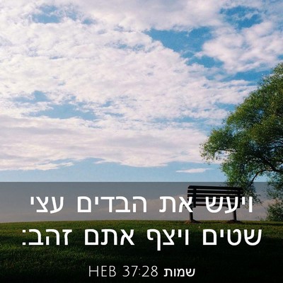 Picture 03 - שמות 37:28 HEB - ויעש את הבדים עצי שטים ויצף - Bible Verse Picture