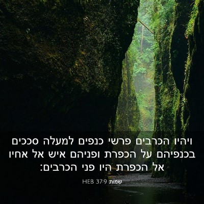 Picture 03 - שמות 37:9 HEB - ויהיו הכרבים פרשי כנפים - Bible Verse Picture
