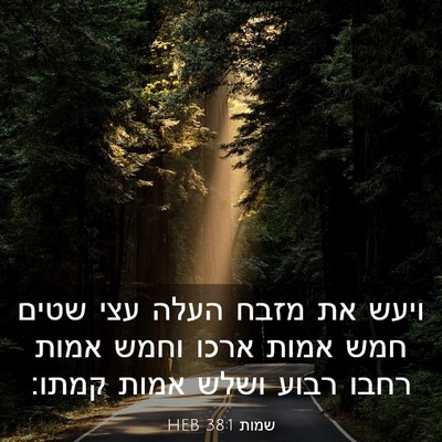 Picture 03 - שמות 38:1 HEB - ויעש את מזבח העלה עצי שטים - Bible Verse Picture