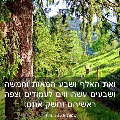 Picture 03 - שמות 38:28 HEB - ואת האלף ושבע המאות וחמשה - Bible Verse Picture