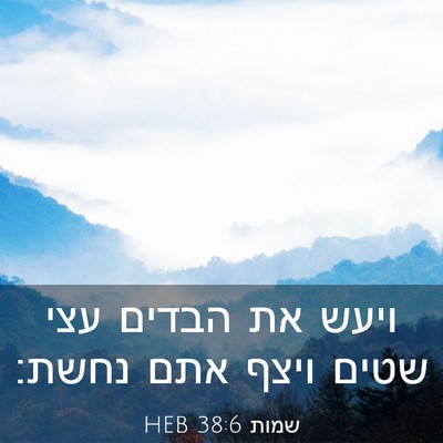Picture 03 - שמות 38:6 HEB - ויעש את הבדים עצי שטים ויצף - Bible Verse Picture