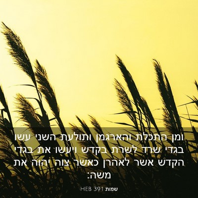 Picture 03 - שמות 39:1 HEB - ומן התכלת והארגמן ותולעת - Bible Verse Picture