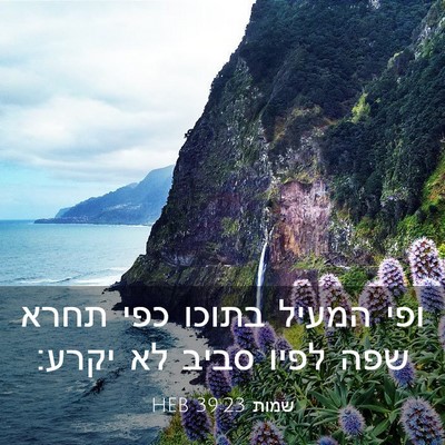 Picture 03 - שמות 39:23 HEB - ופי המעיל בתוכו כפי תחרא - Bible Verse Picture