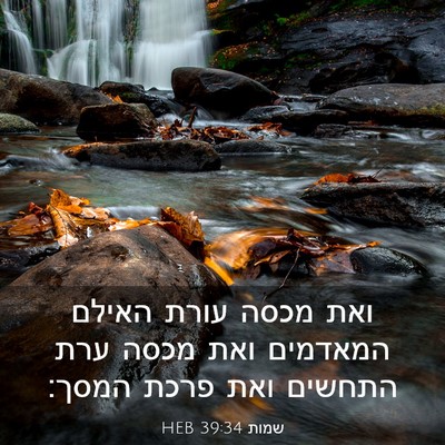 Picture 03 - שמות 39:34 HEB - ואת מכסה עורת האילם - Bible Verse Picture