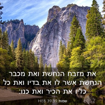 Picture 03 - שמות 39:39 HEB - את מזבח הנחשת ואת מכבר - Bible Verse Picture