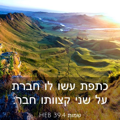Picture 03 - שמות 39:4 HEB - כתפת עשו לו חברת על שני - Bible Verse Picture