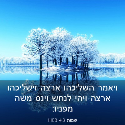 Picture 03 - שמות 4:3 HEB - ויאמר השליכהו ארצה - Bible Verse Picture