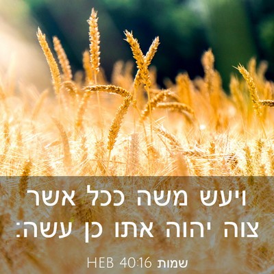 Picture 03 - שמות 40:16 HEB - ויעש משה ככל אשר צוה יהוה - Bible Verse Picture