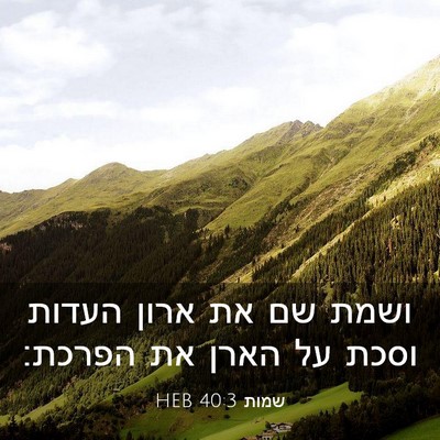Picture 03 - שמות 40:3 HEB - ושמת שם את ארון העדות וסכת - Bible Verse Picture