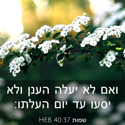 Picture 03 - שמות 40:37 HEB - ואם לא יעלה הענן ולא יסעו - Bible Verse Picture