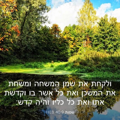 Picture 03 - שמות 40:9 HEB - ולקחת את שמן המשחה ומשחת את - Bible Verse Picture