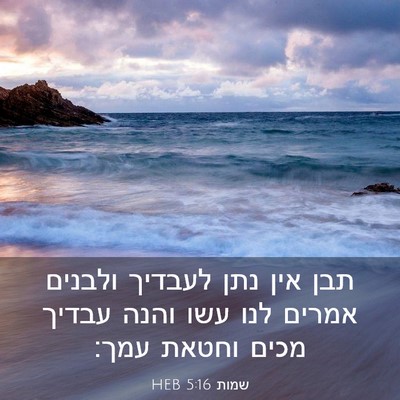 Picture 03 - שמות 5:16 HEB - תבן אין נתן לעבדיך ולבנים - Bible Verse Picture