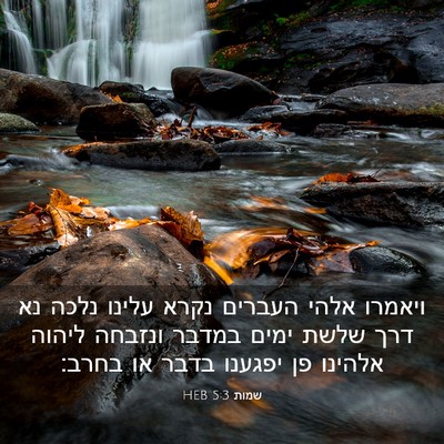 Picture 03 - שמות 5:3 HEB - ויאמרו אלהי העברים נקרא - Bible Verse Picture