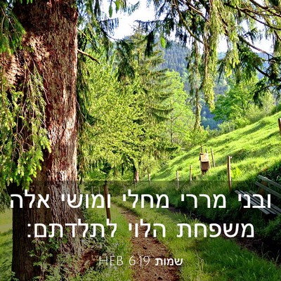 Picture 03 - שמות 6:19 HEB - ובני מררי מחלי ומושי אלה - Bible Verse Picture