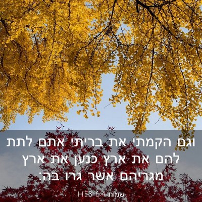 Picture 03 - שמות 6:4 HEB - וגם הקמתי את בריתי אתם לתת - Bible Verse Picture