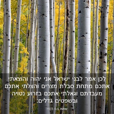Picture 03 - שמות 6:6 HEB - לכן אמר לבני ישראל אני יהוה - Bible Verse Picture