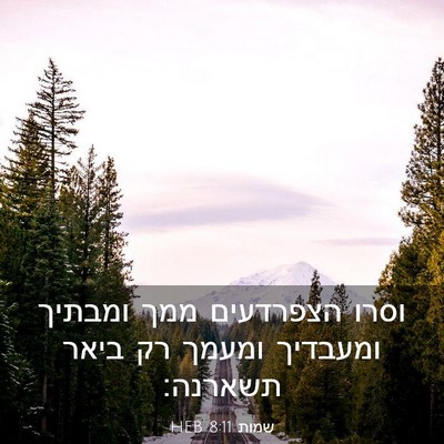 Picture 03 - שמות 8:11 HEB - וסרו הצפרדעים ממך ומבתיך - Bible Verse Picture