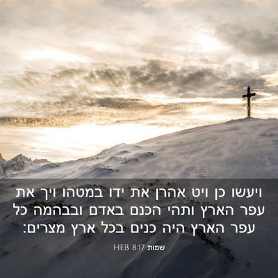Picture 03 - שמות 8:17 HEB - ויעשו כן ויט אהרן את ידו - Bible Verse Picture