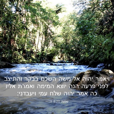 Picture 03 - שמות 8:20 HEB - ויאמר יהוה אל משה השכם בבקר - Bible Verse Picture