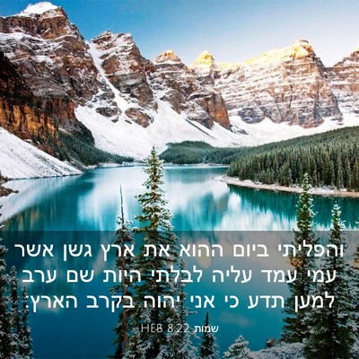Picture 03 - שמות 8:22 HEB - והפליתי ביום ההוא את ארץ - Bible Verse Picture