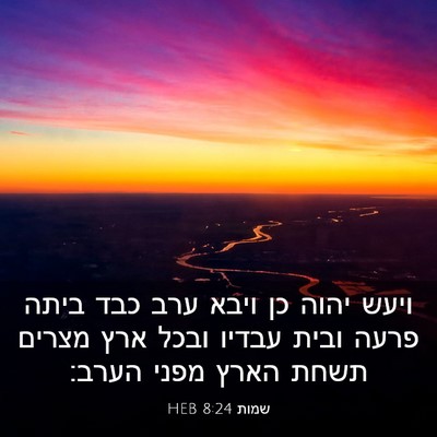 Picture 03 - שמות 8:24 HEB - ויעש יהוה כן ויבא ערב כבד - Bible Verse Picture