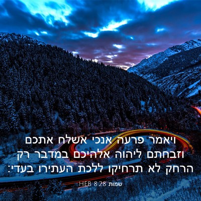 Picture 03 - שמות 8:28 HEB - ויאמר פרעה אנכי אשלח אתכם - Bible Verse Picture