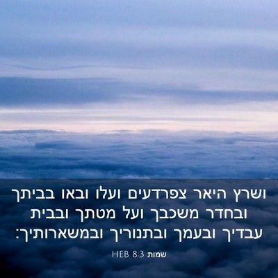 Picture 03 - שמות 8:3 HEB - ושרץ היאר צפרדעים ועלו - Bible Verse Picture