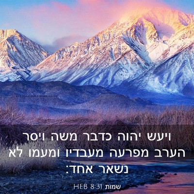 Picture 03 - שמות 8:31 HEB - ויעש יהוה כדבר משה ויסר - Bible Verse Picture