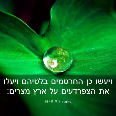 Picture 03 - שמות 8:7 HEB - ויעשו כן החרטמים בלטיהם - Bible Verse Picture