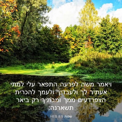 Picture 03 - שמות 8:9 HEB - ויאמר משה לפרעה התפאר עלי - Bible Verse Picture