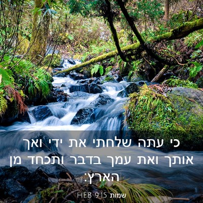 Picture 03 - שמות 9:15 HEB - כי עתה שלחתי את ידי ואך - Bible Verse Picture