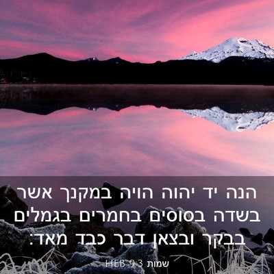 Picture 03 - שמות 9:3 HEB - הנה יד יהוה הויה במקנך אשר - Bible Verse Picture