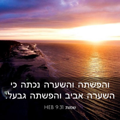 Picture 03 - שמות 9:31 HEB - והפשתה והשערה נכתה כי - Bible Verse Picture