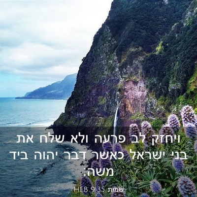 Picture 03 - שמות 9:35 HEB - ויחזק לב פרעה ולא שלח את - Bible Verse Picture